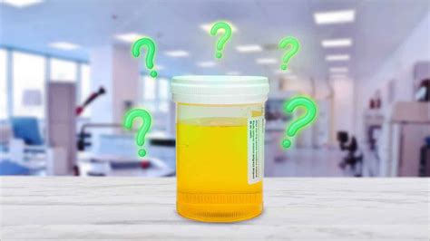 how to use fake urine while being watched female|direct observation drug test hide urine.